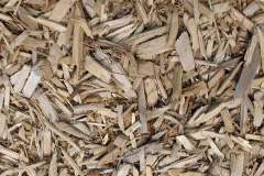 biomass boilers Wadshelf